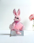 Load image into Gallery viewer, Pink bunny stuffed animal with long ears dressed in pink ballerina tutu removable dress