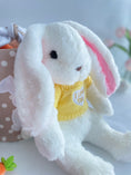 Load image into Gallery viewer, Cute bunny in sweater gift