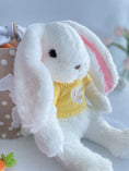 Load image into Gallery viewer, Bobo the Bunny in Sweater