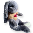 Load image into Gallery viewer, Bobo the Bunny in Sweater