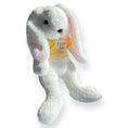 Load image into Gallery viewer, White bunny plush gift