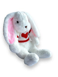 Load image into Gallery viewer, Adorable bunny gift idea