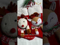 Load and play video in Gallery viewer, Christmas Stockings with 3D Plush Animal Characters (Red or White - Pen Penguin Stocking) | EliEla Toys