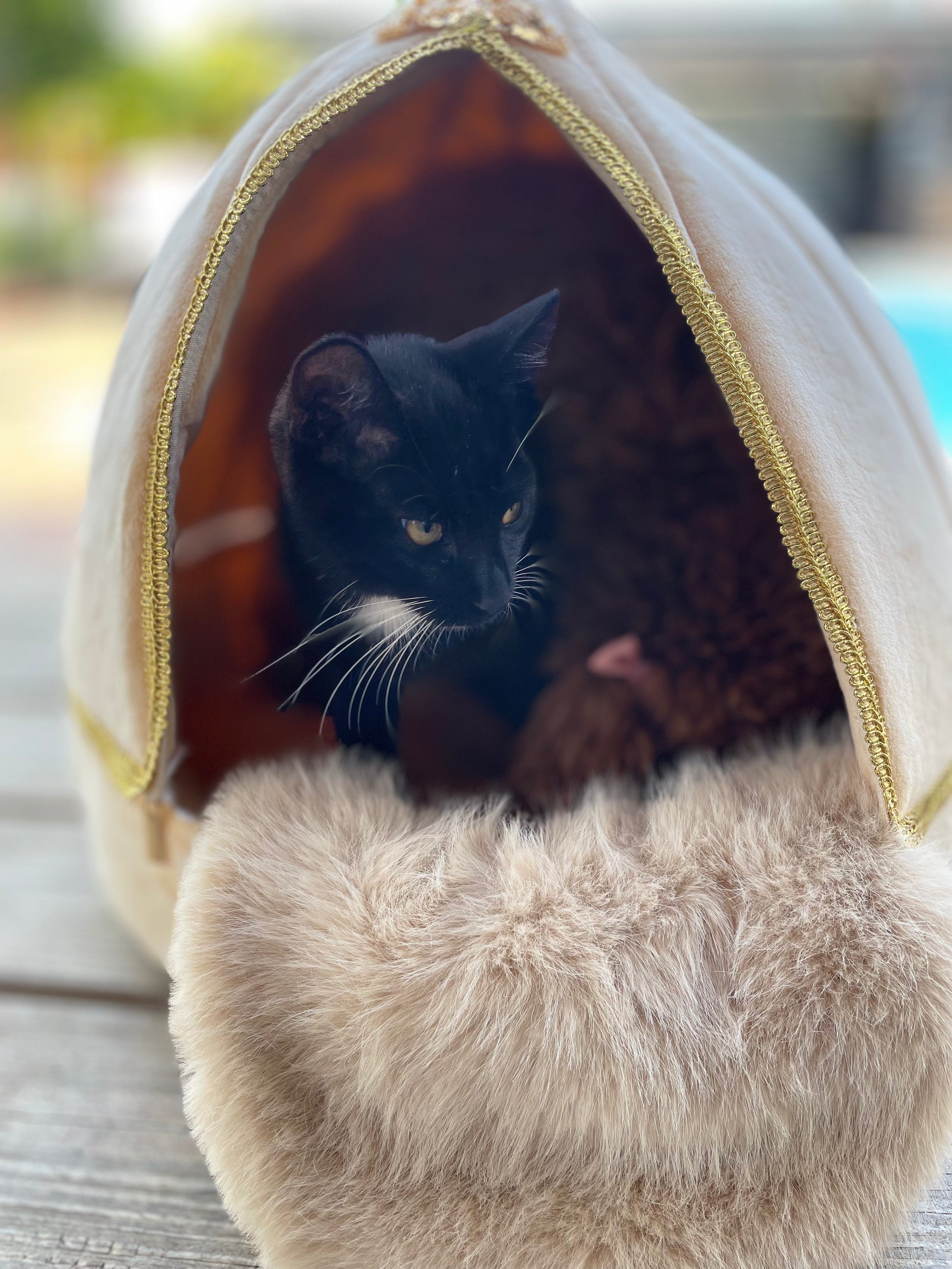 PoshPaws Luxury Velvet 2-in-1 Pet Cave Bed – For Small Dogs, Cats & Other Fur Babies (White or Champagne)