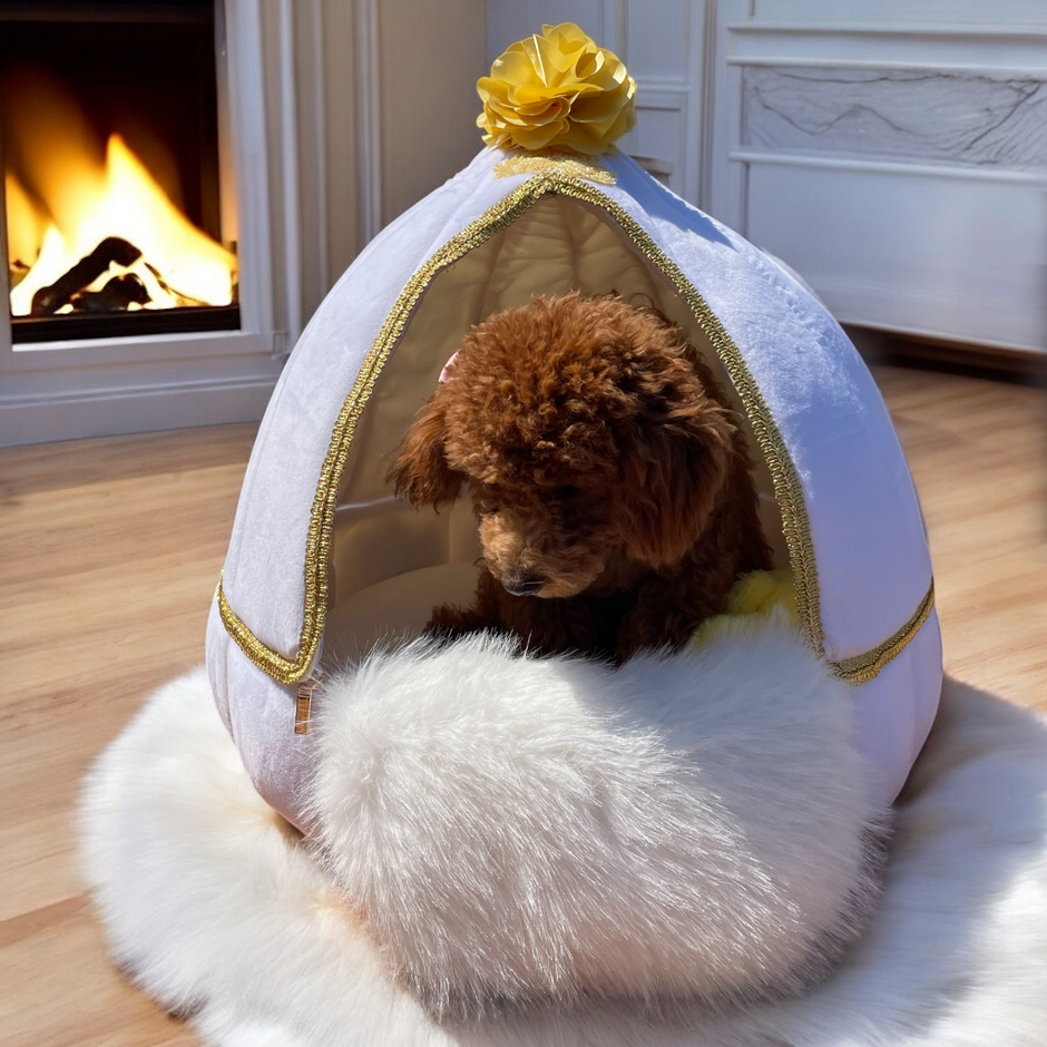 Pet bed, convertible pet house 2 in 1 for Summer and Winter washable white and champagne